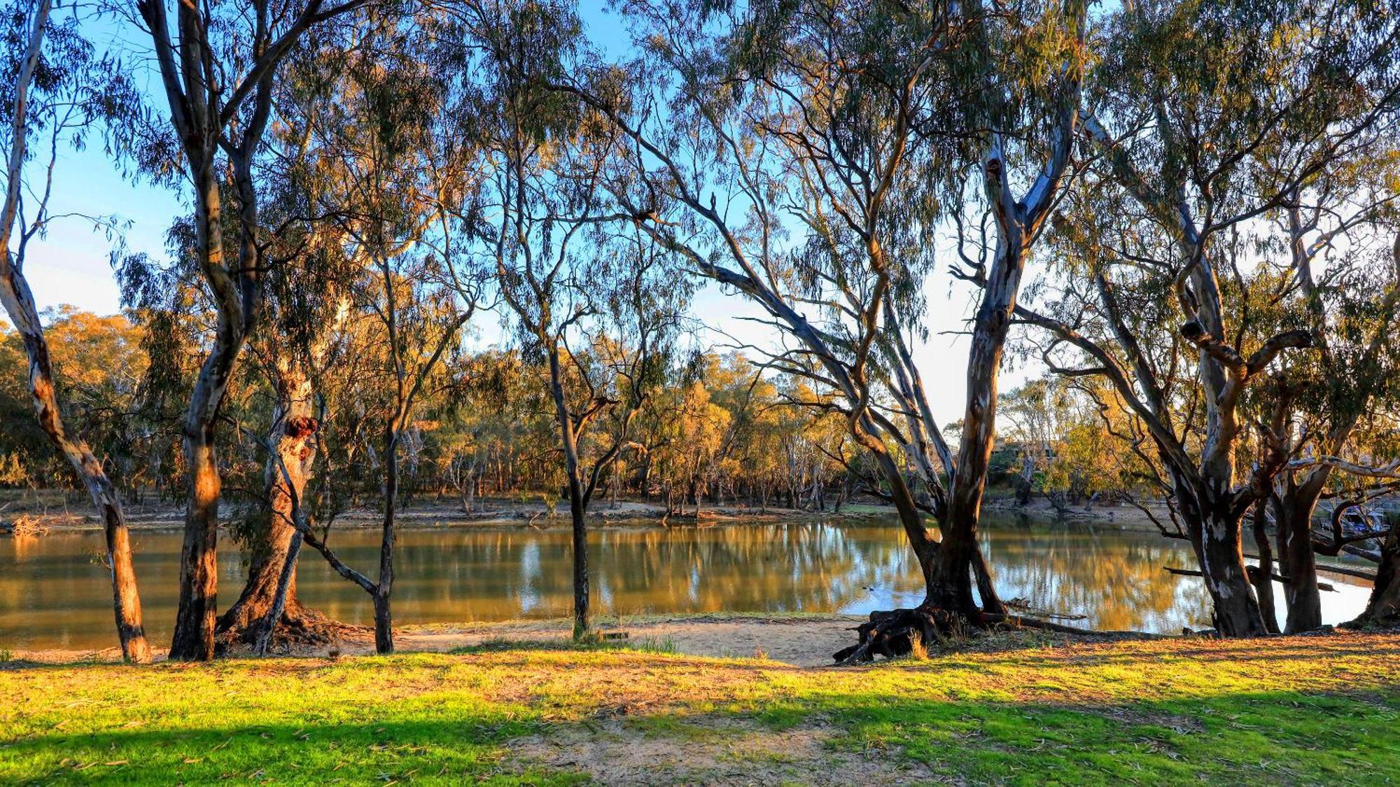 Deniliquin Riverside Caravan Park Buitenkant foto