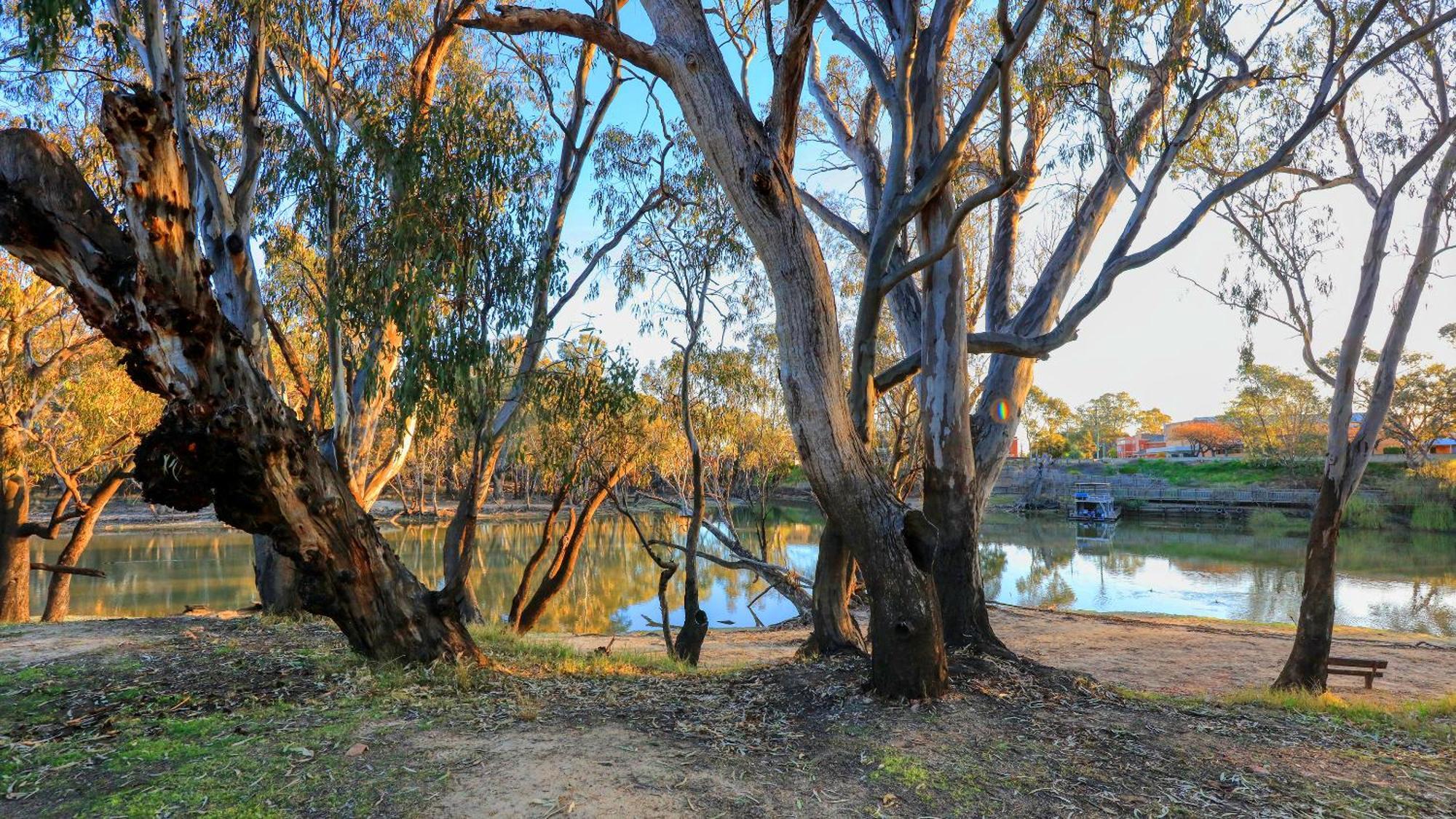 Deniliquin Riverside Caravan Park Buitenkant foto
